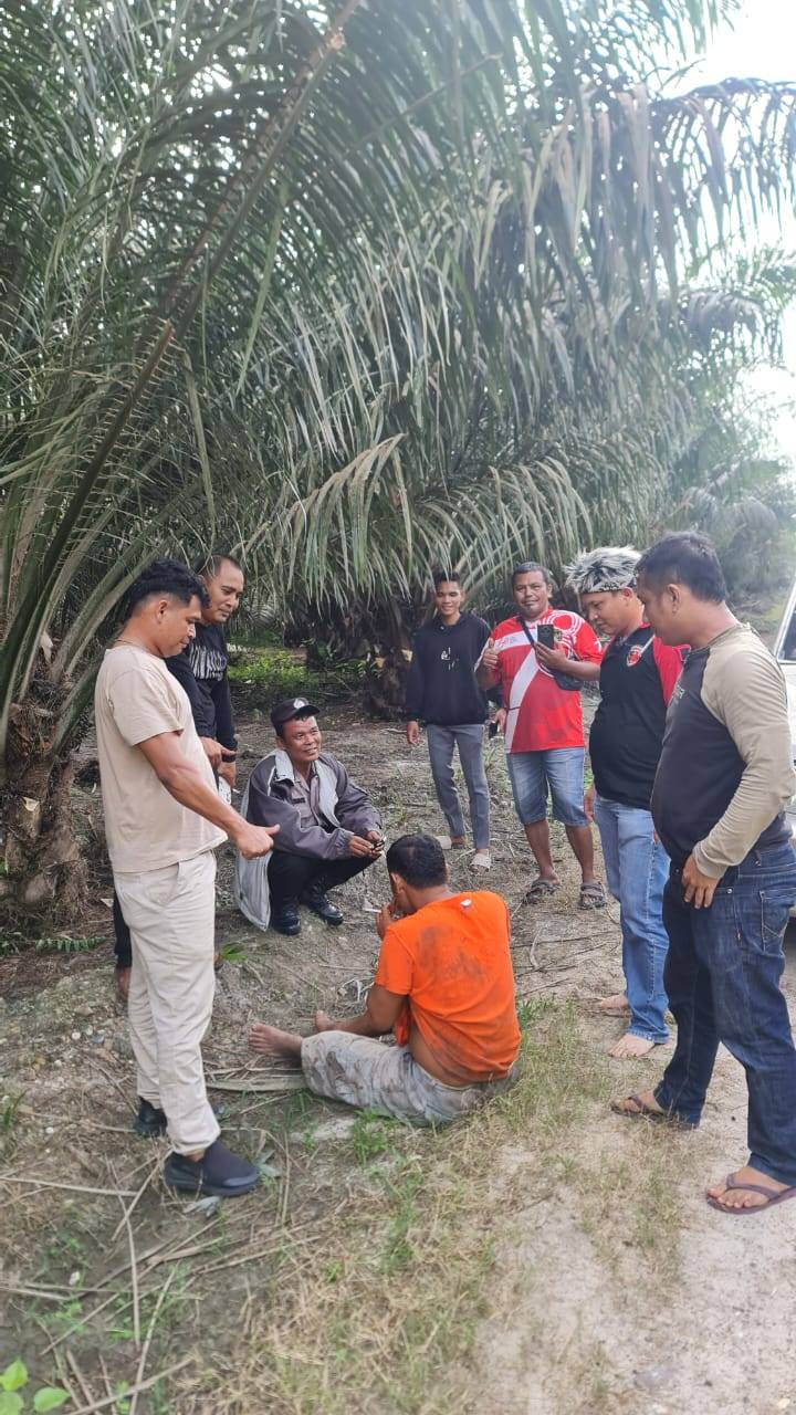 Ungkap Kasus Tindak Pidana Pembunuhan di Teluk Panji, Unit Reskrim Polsek Kampung Rakyat Tangkap Pelaku