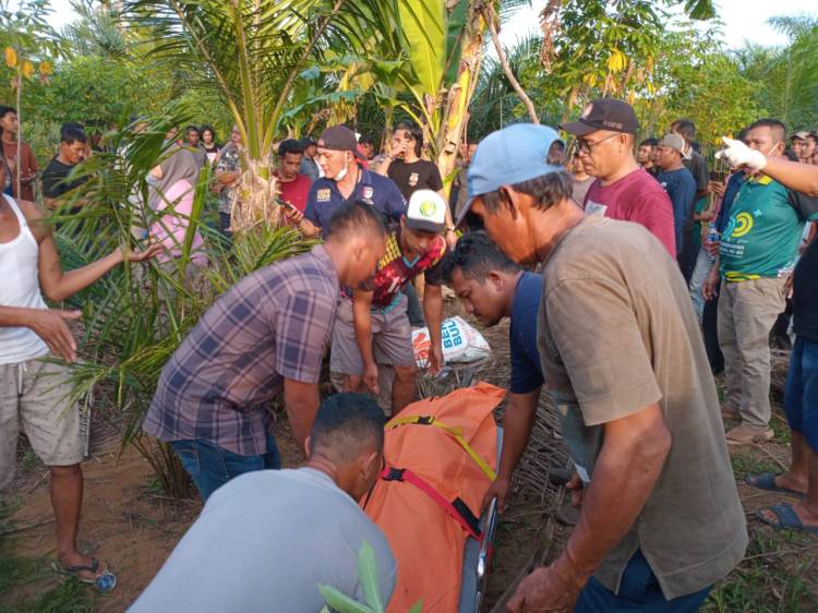 Diduga Bentrok Dengan Pencuri, Centeng Kebun Jadi Korban Pembunuhan