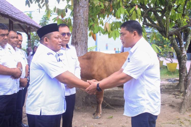 Wakil Bupati Labuhanbatu Serahkan Sapi Kurban Bantuan Gubernur Sumut Untuk Lapas Rantauprapat
