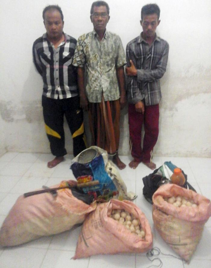 Petugas Patroli Posal Pulau Banyak Amankan Pencuri Telur Penyu