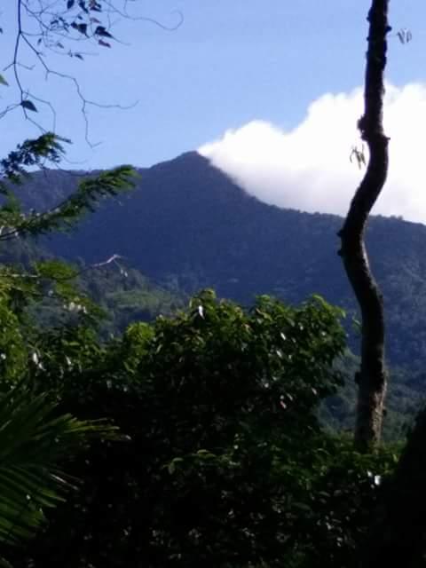 Bupati Tapsel Bantah Gunung Lubuk Raya Keluarkan Asap Pasca Gempa