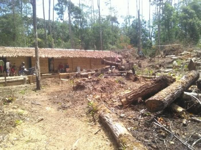 Dianggap Cemari DAS, Keberadaan  Base Camp Penyadap Getah Pinus Dipersoalkan Warga Pollung