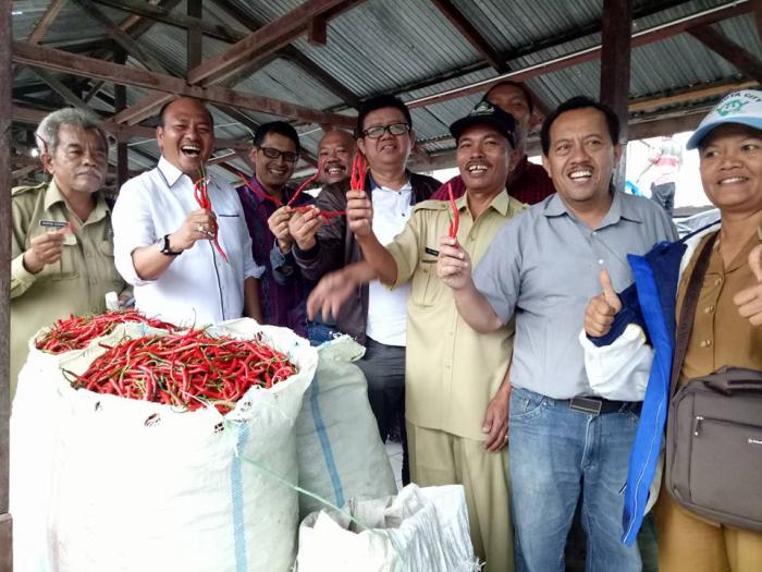 Bupati Taput Launching Dana Talangan Komoditi Cabai Merah, Bawang Merah dan Padi di Siborongborong