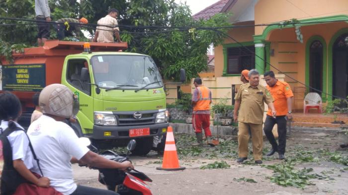 Dinas Kebersihan dan Pertamanan Siaga Antisipasi Cuaca Ekstrim