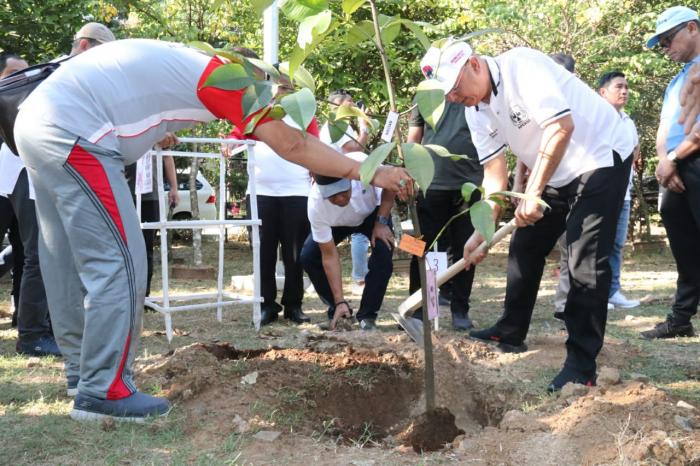 Pohon Manggis di Hutan Wisata Tinjomoyo
