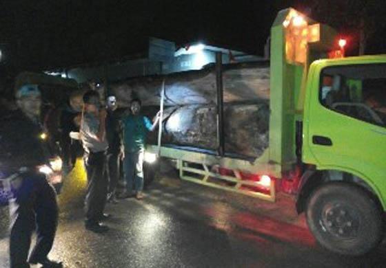 Polres Humbahas Sita Kayu Diduga Ilegal