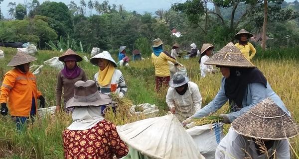 MARSIALAP ARI: REFLEKSI BUTIR PANCASILA DI BONAPASOGIT