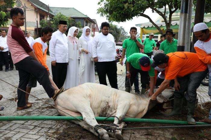 Kurban Keluarga Pak Wali di Masjid Amaliyah & Kelurahan Nelayan Indah