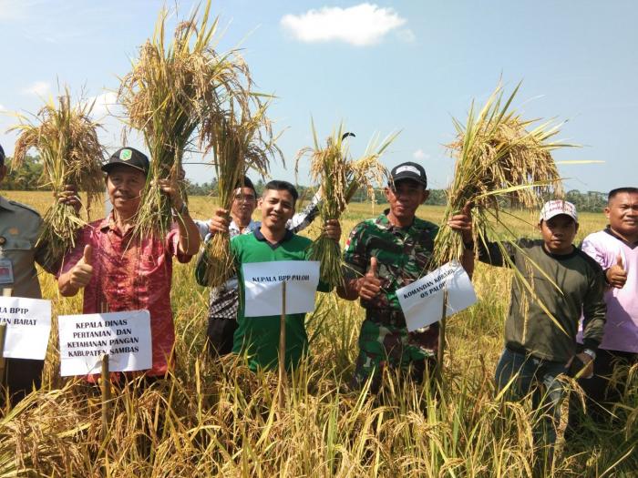 Panen Padi Sukses, Poktan "Daya Usaha" Terima Kasih kepada Babinsa