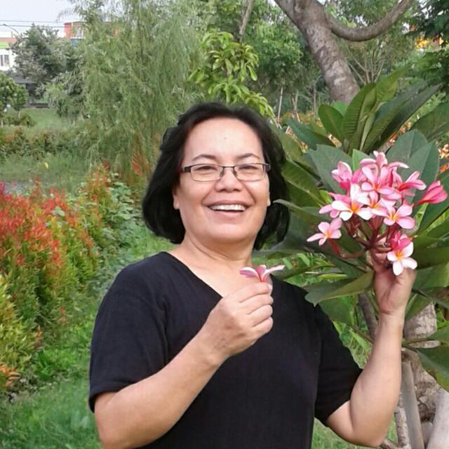 KAWASAN WISATA DANAU TOBA: GIMANA URUSAN PROMOSINYA?  - APA & KEMANA PROMOSINYA?