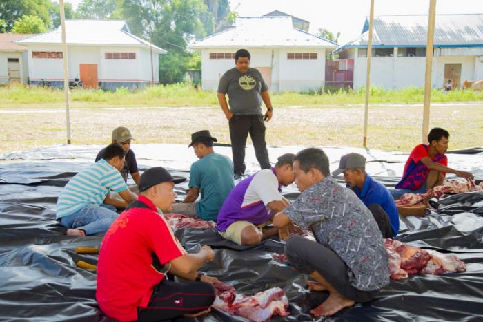 Bupati Andi Saksikan Penyembelihan Hewan Kurban Pemkab Labuhanbatu