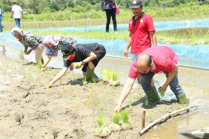 Canangkan Program Mina Padi dan IP 2 di Desa Hutauruk Hasundutan, Bupati Taput Tekankan Kekompakan dan Persatuan