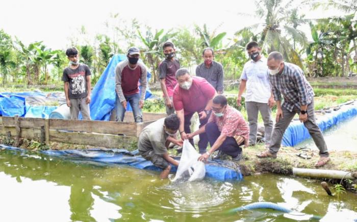 Bupati Tapsel Salurkan Bantuan Perikanan Di Batang Angkola