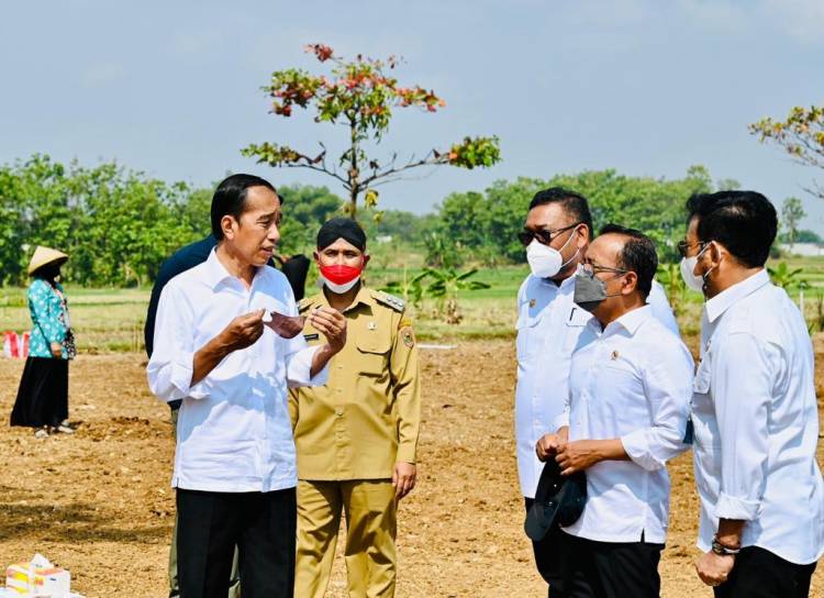 Presiden Jokowi Ingatkan Petani Rawat Kelapa Genjah