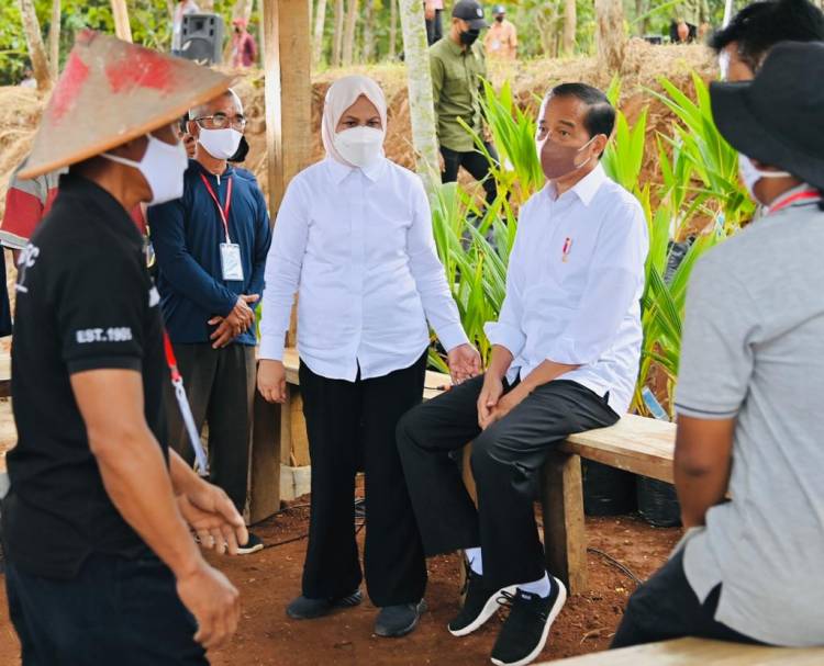 Tanam Kelapa Genjah di Sukoharjo, Presiden Tegaskan Pentingnya Jaga Pasokan Pangan Nasional