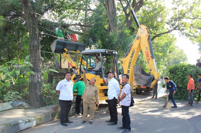 Antisipasi&nbsp;Cuaca Ekstrim dengan Pemangkasan Pohon