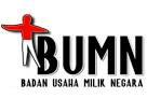 Ini Orang Batak yang Masuk Jajaran Pejabat dan Komisaris BUMN