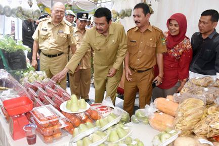 Pekan Pasar Tani Sumut 2017 di Deli Serdang, Hortikultura Sumut Mesti Tembus Pasar Global