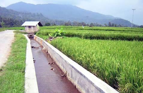 Dua P3A Terpilih Menjadi Komisi Irigasi Kecamatan Sipirok