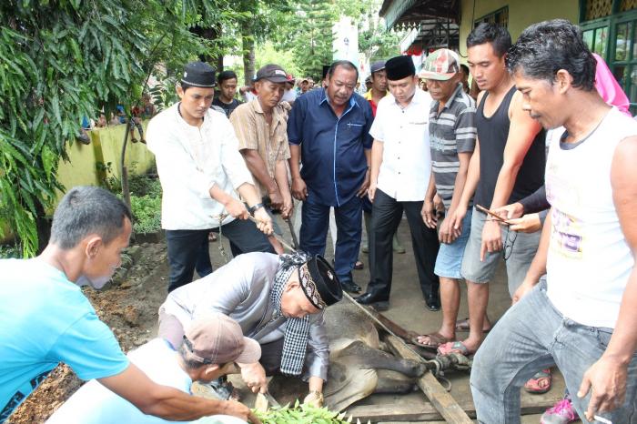Medan Selayang Sembelih 18 Hewan Kurban