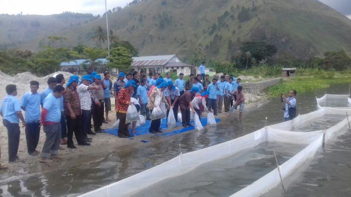 Dirjen Perikanan Budidaya Kementerian Kelautan dan Perikanan RI, Tabur 100 Ribu Ekor Ikan Tawes Pemakan Lumut Tawar di Humbahas