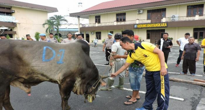Polrestabes Medan Sembelih 11 Ekor Kurban