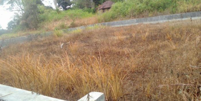 Luhut Marbun Sebut Betonisasi Kolam Kurang Maksimal di Humbahas