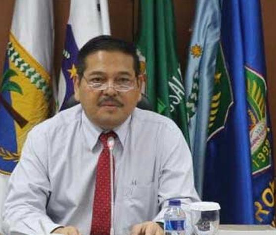 Parlindungan Purba Dukung Proyek PLTA Batangtoru