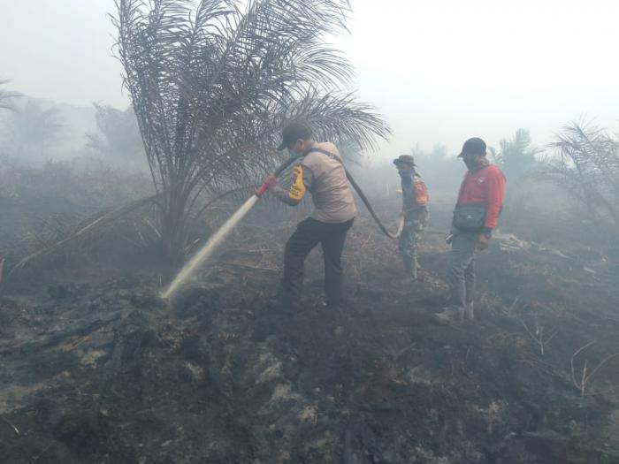 Polisi, Karyawan Kebun dan Masyarakat Padamkan Api di Labusel