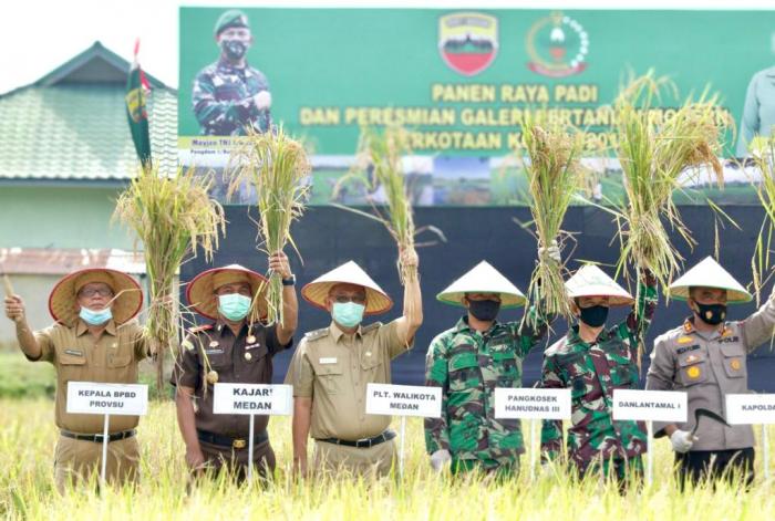 Panen Raya Kodim 0201/BS Dukung Ketahanan Pangan