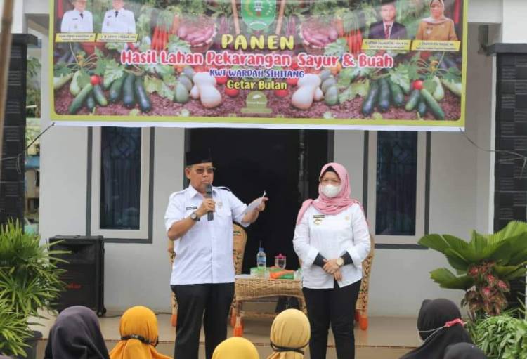 Wakil Walikota Sidimpuan Panen Sayur & Buah KWT Wardah Sihitang