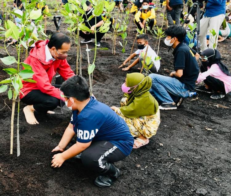 Presiden: Rehabilitasi Mangrove Akan Terus Kita Lakukan