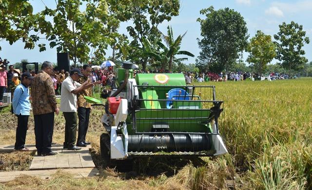 Stok Melimpah, Indonesia Tak Impor Beras Hingga Akhir Tahun 2016