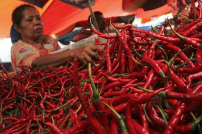 Harga Cabe Naik Turun Seperti Yoyo, Petani Humbahas Galau