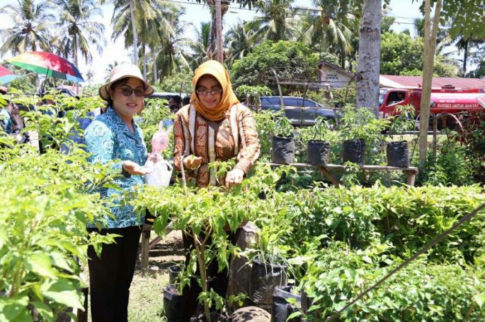 Evi Diana Kunjungi Desa Di Nias dan Pakpak Bharat Nominasi Gertam Cabai Nasional