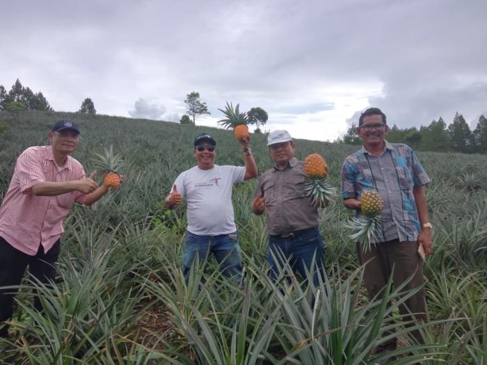 Menjajaki Paket Wonderful Huta Toba 4 Hari 3 Malam