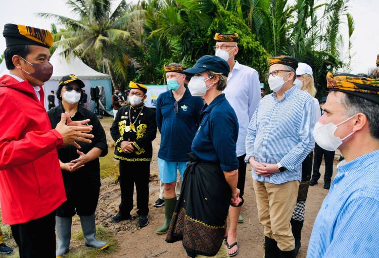 Tiba di Tana Tidung, Presiden Disambut Prosesi Adat Tepung Tawar