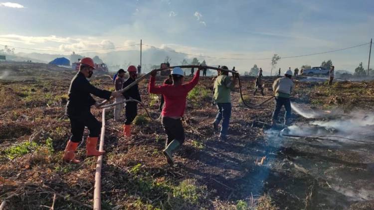 Quick Respon, Batalyon C Brimob Sumut Bantu Padamkan Api di Kebun PT. TPL Desa Sangga Tapanuli Selatan