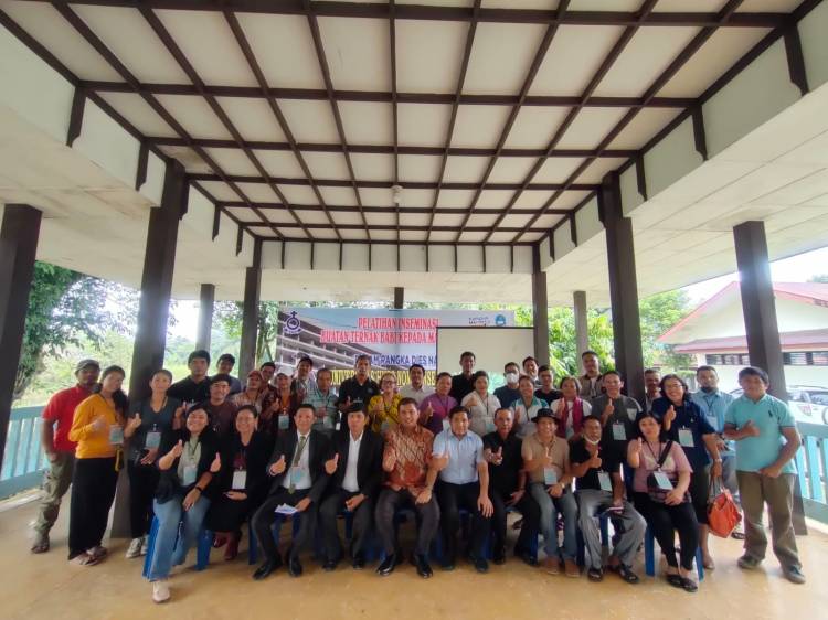 Miliki Pusat Pembibitan Ternak Babi, Fakultas Peternakan Nommensen Siap Mengupgrade Genetik Babi