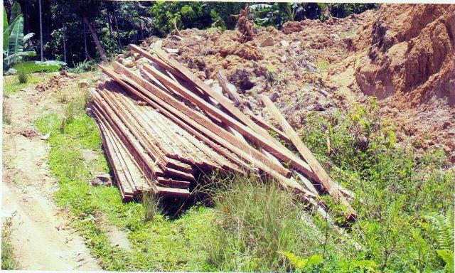 Ditemukan Kayu Olahan Tak Bertuan di Humbahas, Diduga Dijarah dari Hutan Kawasan