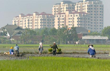 200 Hektar Lahan di Provinsi DIY Beralih Fungsi Setiap Tahun