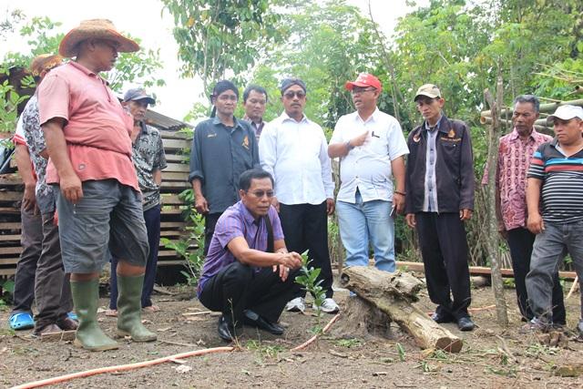 Victor Edison Simanjuntak Ajak Petani Budidayakan Lemon