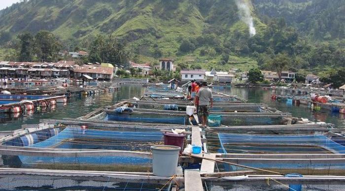 Parapat Danau Toba Bebas Keramba Jaring Apung Masyarakat pada 2017, Milik Aquafarm Masih Beroperasi Hingga 2019 Sesuai Izinnya