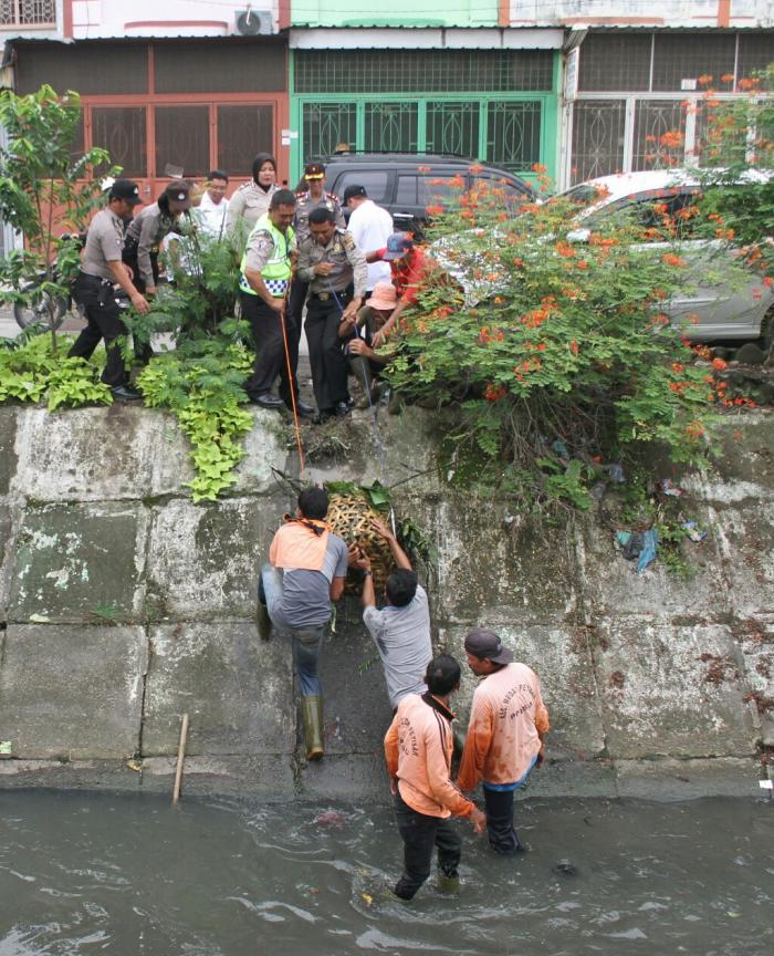 Gotong Royong Bersama, Camat Parlindungan Nasution Apresiasi Kapolsek Medan Baru Kompol Victor Ziliwu