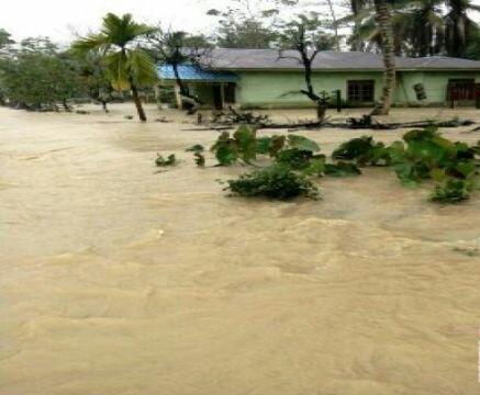 Banjir Angkola Sangkunur Lantakan Lahan Pertanian Warga