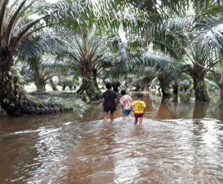 Desa Simarlelan-Angkola Sangkunur Tergenang Banjir