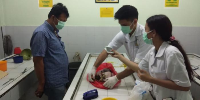 Mayat Bayi Ditemukan Dalam Kantong Plastik Merah di Pos Kamling