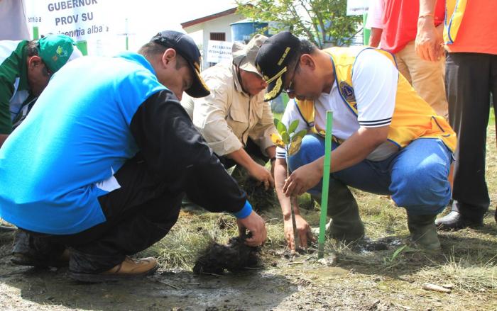 Lions Club dan Yayasan Budaya Hijau Indonesia Tanam 3000 Batang Mangrove di Nelayan Indah