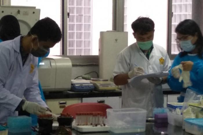 Terindikasi African Swine Fever, Ribuan Ekor Babi Mati