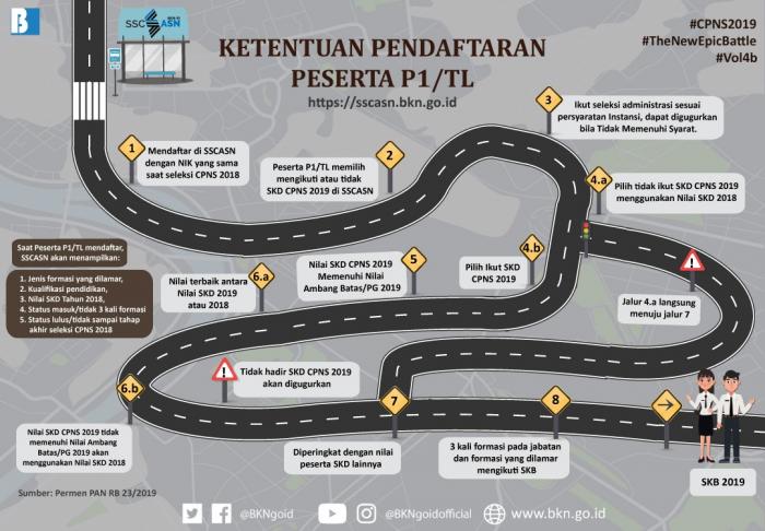 Penerimaan CPNS 2019, Pelamar Kategori P1/TL Diberikan Peluang Gunakan Nilai SKD Tahun 2018